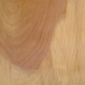 Black Walnut